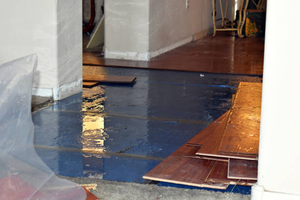 Professional Emergency Water Damage Restoration technician working in Rayland, OH